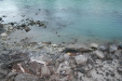 Thumbnail img_0403.jpg 