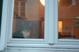 Thumbnail img_0411.jpg 