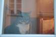 Thumbnail img_0412.jpg 