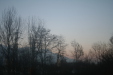 Thumbnail img_0428.jpg 