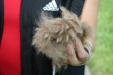 Thumbnail img_3040.jpg 
