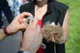 Thumbnail img_3041.jpg 