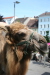 Thumbnail img_3046.jpg 