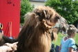 Thumbnail img_3047.jpg 