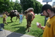 Thumbnail img_3048.jpg 