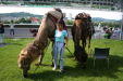 Thumbnail img_3051.jpg 