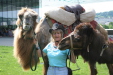 Thumbnail img_3053.jpg 