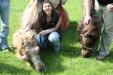 Thumbnail img_3057.jpg 