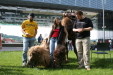 Thumbnail img_3060.jpg 