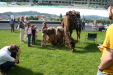 Thumbnail img_3064.jpg 
