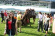 Thumbnail img_3065.jpg 