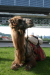 Thumbnail img_3067.jpg 