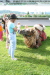 Thumbnail img_3069.jpg 