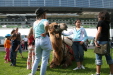 Thumbnail img_3070.jpg 