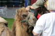 Thumbnail img_3076.jpg 