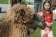 Thumbnail img_3078.jpg 
