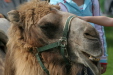 Thumbnail img_3080.jpg 