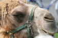 Thumbnail img_3085.jpg 