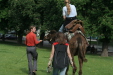 Thumbnail img_3098.jpg 