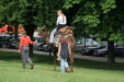 Thumbnail img_3102.jpg 