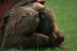 Thumbnail img_3112.jpg 