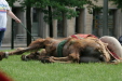 Thumbnail img_3124.jpg 