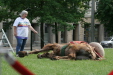 Thumbnail img_3125.jpg 