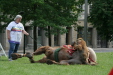 Thumbnail img_3126.jpg 