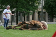 Thumbnail img_3127.jpg 