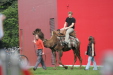 Thumbnail img_3128.jpg 
