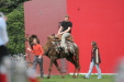 Thumbnail img_3129.jpg 