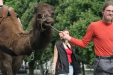 Thumbnail img_3136.jpg 