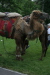 Thumbnail img_3147.jpg 