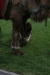 Thumbnail img_3148.jpg 