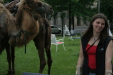Thumbnail img_3149.jpg 