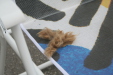 Thumbnail img_3157.jpg 
