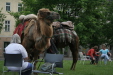 Thumbnail img_3158.jpg 