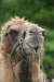 Thumbnail img_3160.jpg 