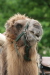 Thumbnail img_3162.jpg 