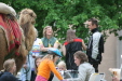 Thumbnail img_3230.jpg 