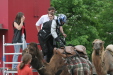 Thumbnail img_3245.jpg 