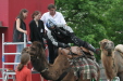 Thumbnail img_3246.jpg 