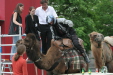 Thumbnail img_3247.jpg 