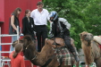 Thumbnail img_3248.jpg 