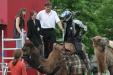 Thumbnail img_3249.jpg 