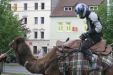 Thumbnail img_3254.jpg 