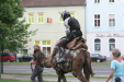Thumbnail img_3255.jpg 
