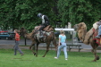 Thumbnail img_3256.jpg 