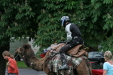 Thumbnail img_3258.jpg 