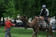 Thumbnail img_3260.jpg 